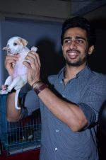 at Pet Adoption camp in Khar, Mumbai on 23rd Nov 2013